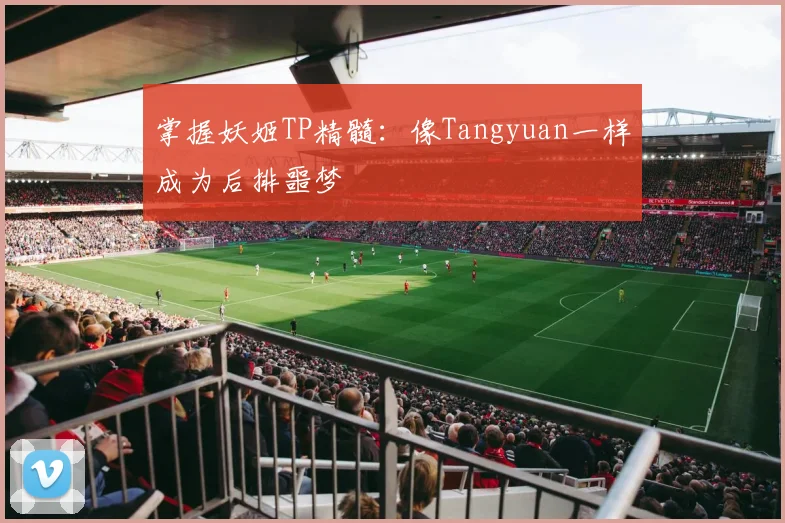 掌握妖姬TP精髓：像Tangyuan一样成为后排噩梦